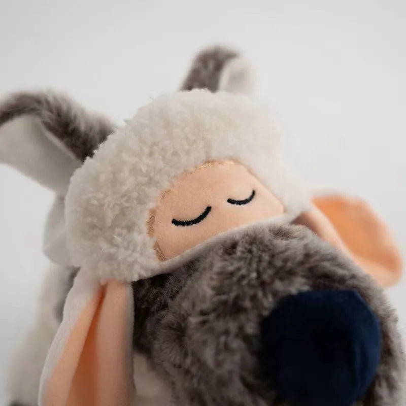 Cute Robe Sloth vs. Robe Wolf Plush Toy